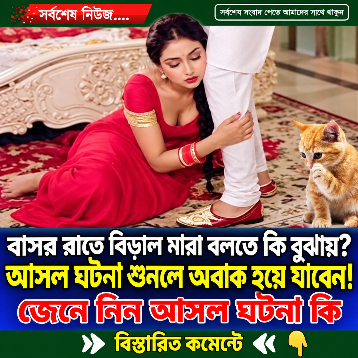 বাসর রাতে বিড়াল মারা বলতে কি বুঝায়? আসল ঘটনা শুনলে অবাক হয়ে যাবেন!..see more